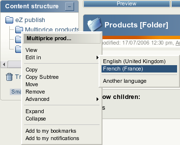 The context menu.